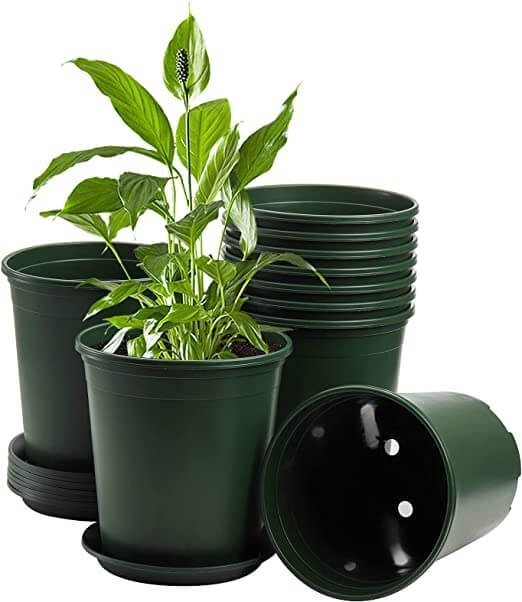 20 Of Durable Nursery Plastic Garden Pot Flower Pots Nursery 1 Gallon   NNplant