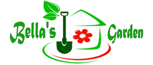 NNPLANT - How to take care of plants