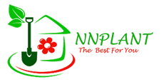 NNplant 
