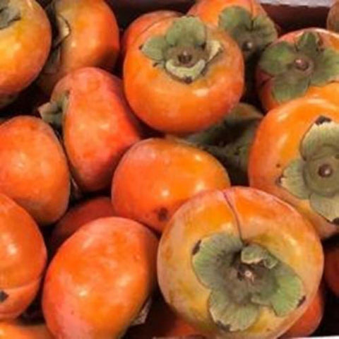 5 Lbs Organic Fresh Persimmon Fruit Fuyu Super Sweet Crunchy